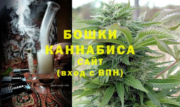 ГАЛЛЮЦИНОГЕННЫЕ ГРИБЫ Каменка
