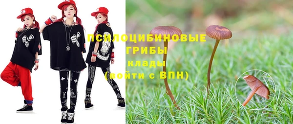 соль курить ск Арсеньев