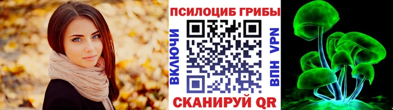 KRAKEN сайт  хочу наркоту  Пущино  Псилоцибиновые грибы Magic Shrooms 